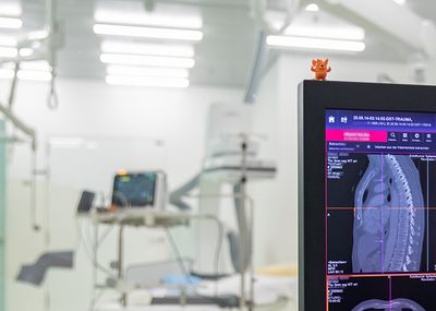 Einblick in einen chirurgischen Eingriff