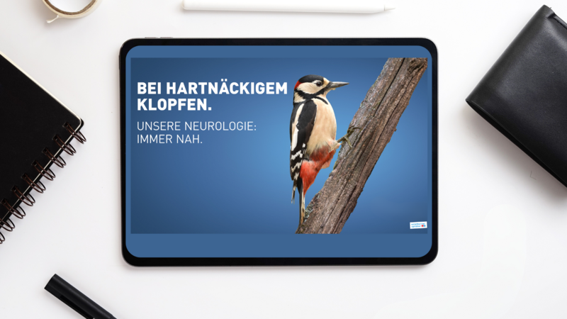 soh_imagekampagne_kopf