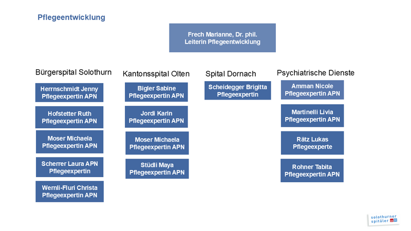 Organigramm_Pflegeentwicklung