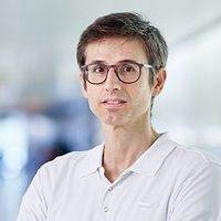 Stavros_Dimopoulos_84